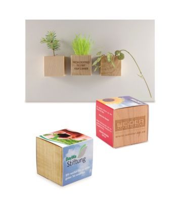 Planta – lemn – suport magnetic